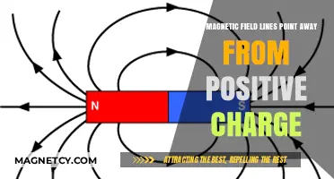 Exploring Magnetic Fields: Do Lines Repel Positive Charges?