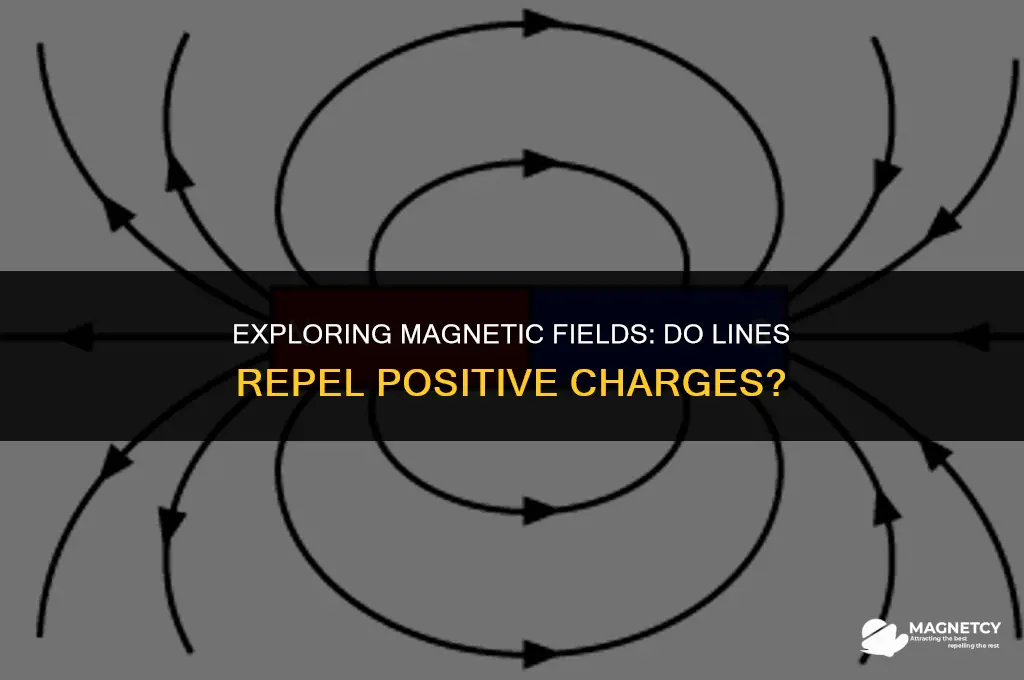 do magnetic field lines point away from positive charge