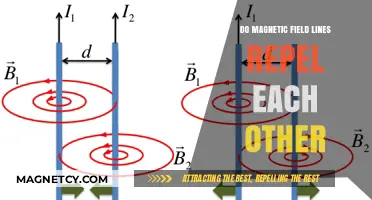 Exploring the Invisible Forces: Do Magnetic Field Lines Repel?