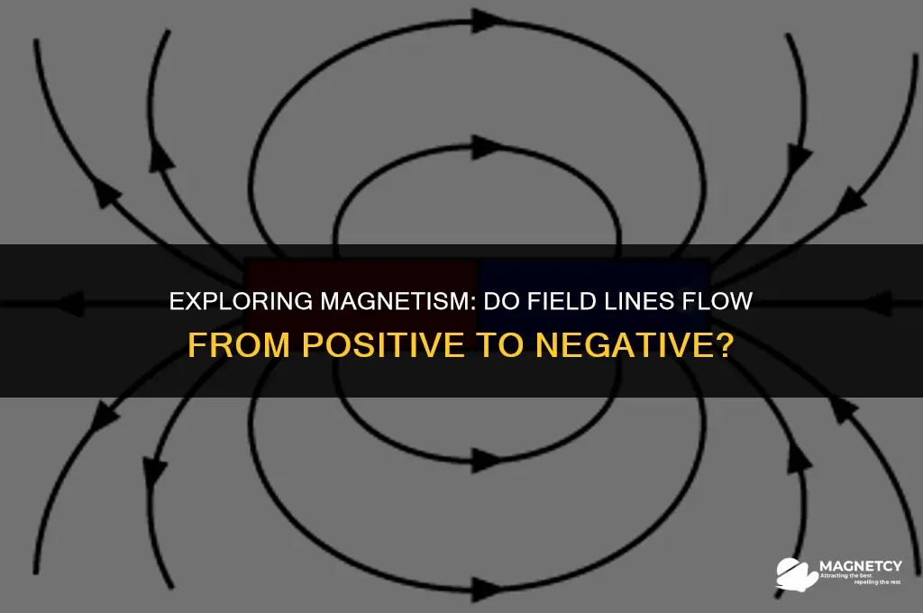 do magnetic field points from positive to negative
