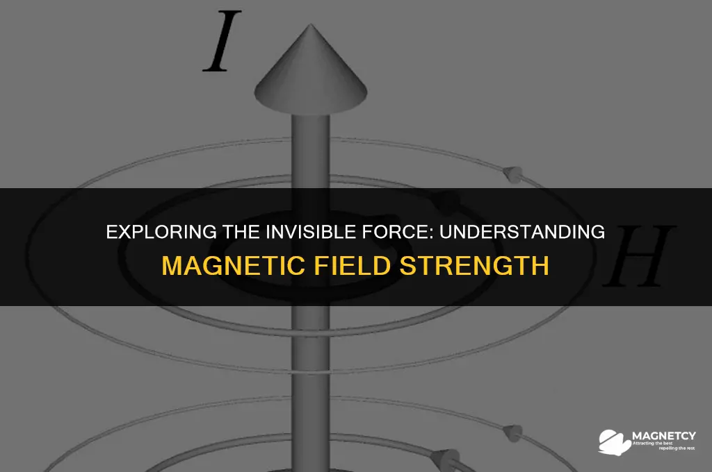do magnetic field show strength of a magnetic field