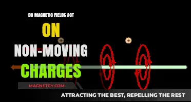 Exploring the Interaction: Do Magnetic Fields Influence Stationary Charges?