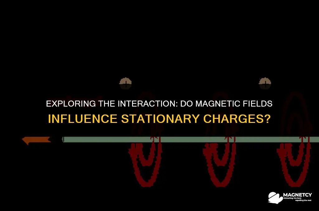 do magnetic fields act on non-moving charges