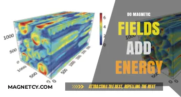 Exploring the Energetic Effects of Magnetic Fields: A Comprehensive Guide