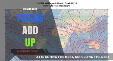 Exploring the Cumulative Effects of Magnetic Fields: A Comprehensive Guide