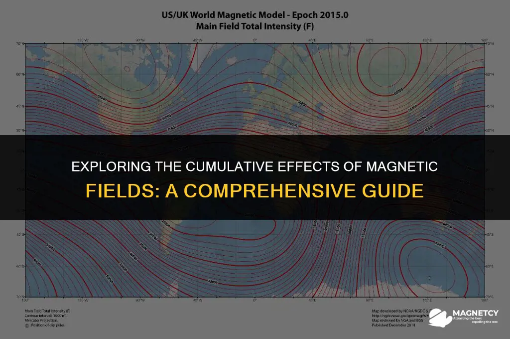 do magnetic fields add up