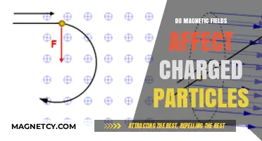 Exploring the Invisible Force: How Magnetic Fields Influence Charged Particles
