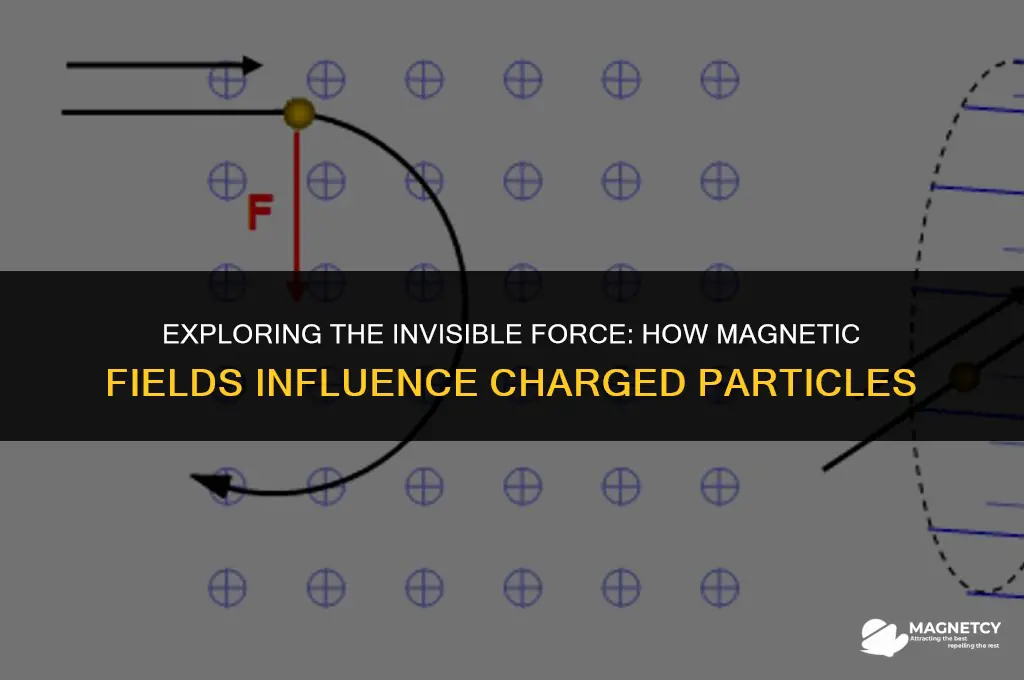 do magnetic fields affect charged particles