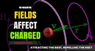 Exploring the Interaction: Do Magnetic Fields Affect Charged Particles?
