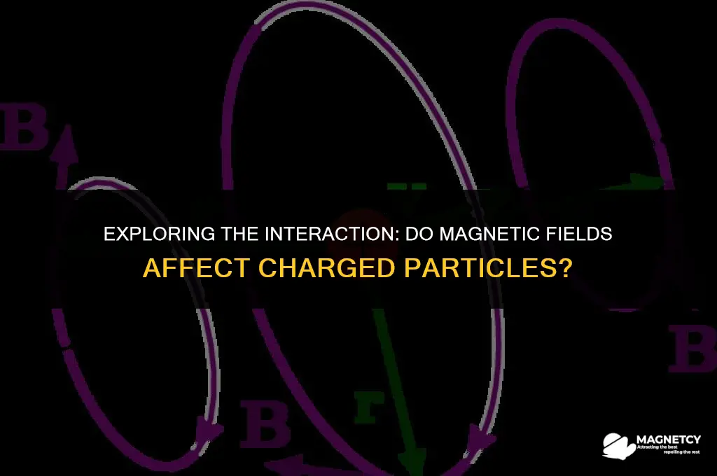 do magnetic fields affect charged