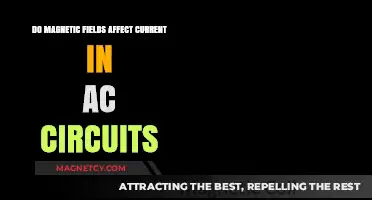 Exploring the Impact of Magnetic Fields on AC Circuit Currents
