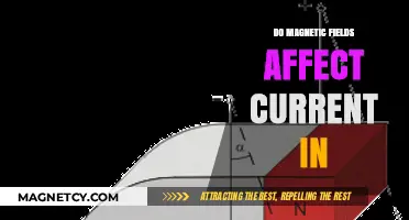 Exploring the Interaction: How Magnetic Fields Influence Electric Current