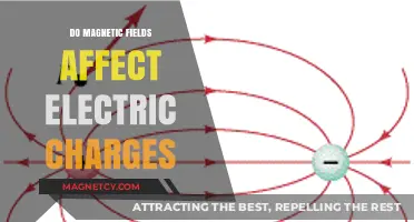 Exploring the Intricacies: How Magnetic Fields Influence Electric Charges