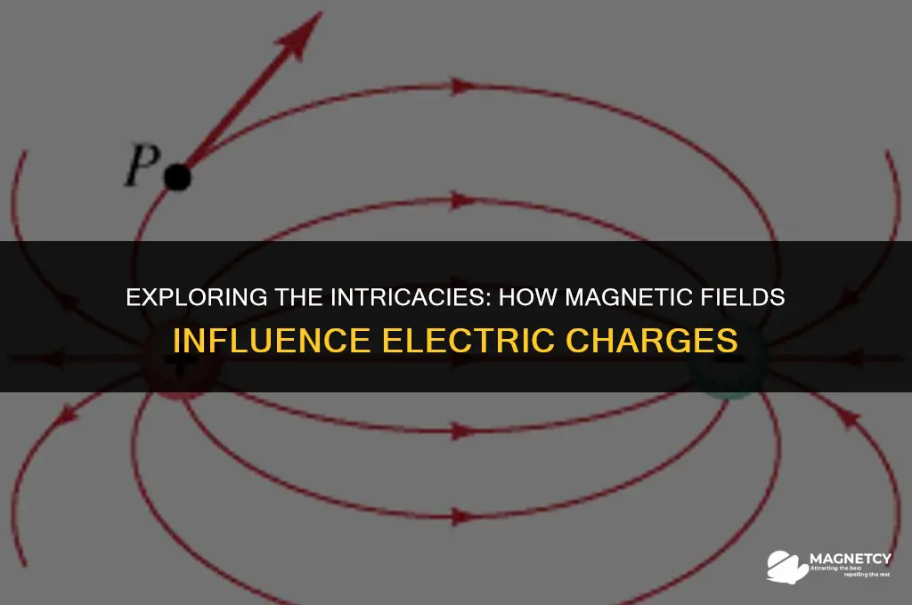 do magnetic fields affect electric charges