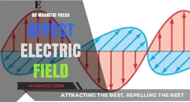 Exploring the Intricate Dance Between Magnetic and Electric Fields