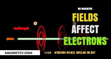 Exploring the Impact of Magnetic Fields on Electron Behavior