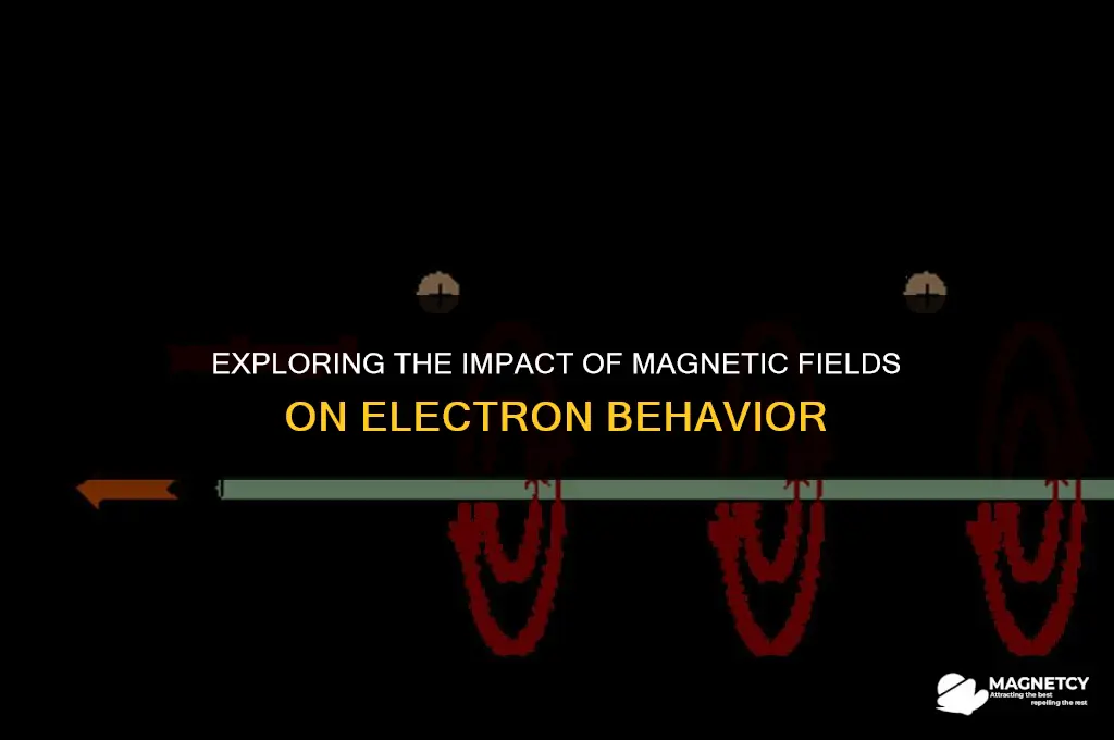 do magnetic fields affect electrons
