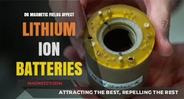 Exploring the Impact of Magnetic Fields on Lithium-Ion Battery Performance