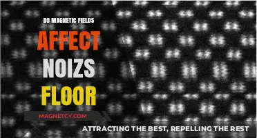 Exploring the Impact of Magnetic Fields on Noise Floor: A Comprehensive Guide