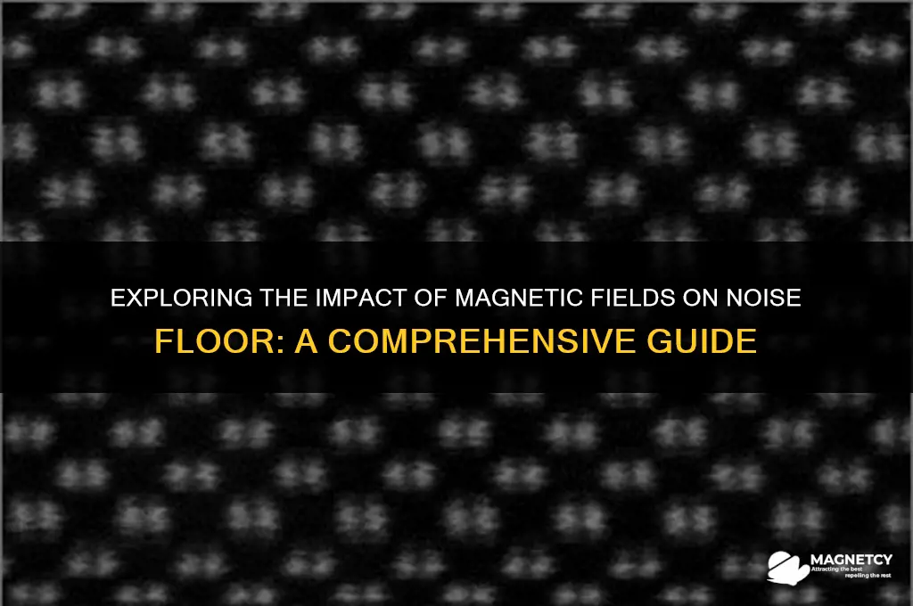 do magnetic fields affect noizs floor