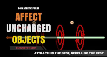 Exploring the Influence of Magnetic Fields on Uncharged Objects