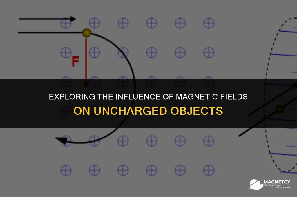 do magnetic fields affect uncharged objects