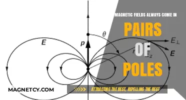 Unveiling the Dual Nature: Do Magnetic Fields Always Come in Pairs?