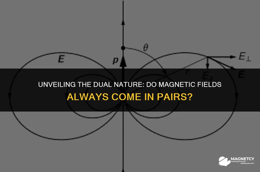 do magnetic fields always come in pairs of poles
