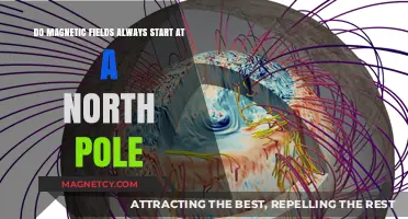 Exploring Magnetism: The Truth About North Poles and Field Origins