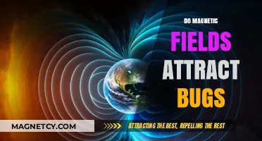 Do Magnetic Fields Attract Bugs? Unraveling the Science Behind the Myth