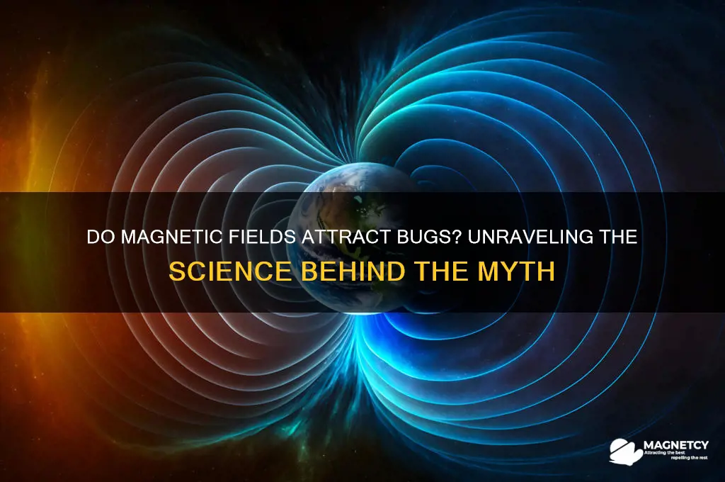 do magnetic fields attract bugs