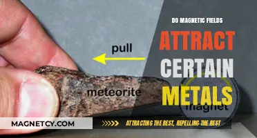 Magnetic Fields and Metals: Unveiling the Attraction Mystery