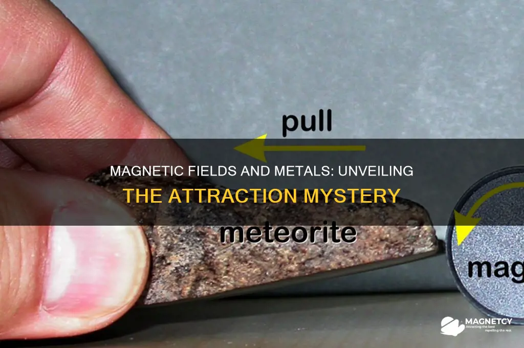 do magnetic fields attract certain metals