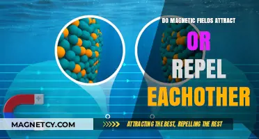 Magnetic Fields: Understanding Their Attractive and Repulsive Interactions