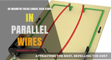 Exploring the Interaction of Magnetic Fields in Parallel Wires