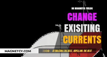 Exploring the Impact of Magnetic Fields on Existing Currents