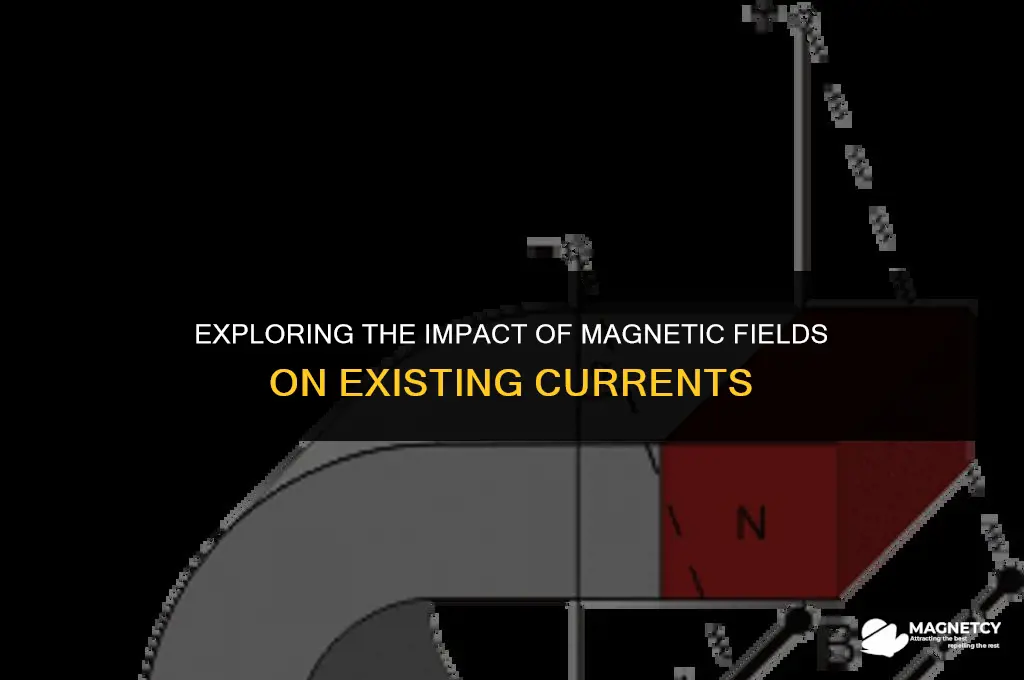do magnetic fields change exisiting currents
