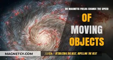 Exploring the Influence of Magnetic Fields on Object Velocities
