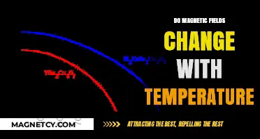 Exploring the Dynamic Relationship Between Magnetic Fields and Temperature