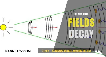 Exploring the Eternal Nature of Magnetic Fields: Do They Decay?