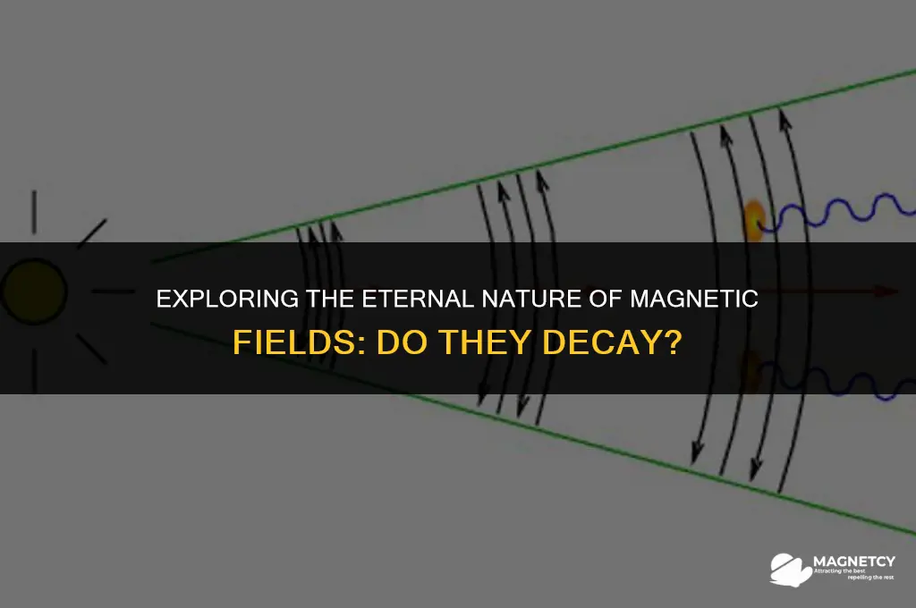 do magnetic fields decay