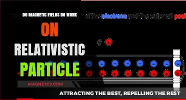 Exploring the Interaction of Magnetic Fields with Relativistic Particles