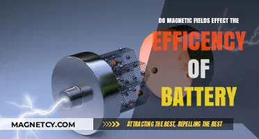 Exploring the Impact of Magnetic Fields on Battery Efficiency