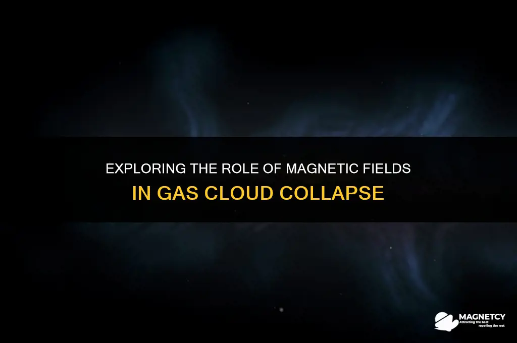 do magnetic fields enhance the collapse of a gas cloud
