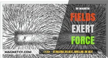 Exploring the Invisible Forces: Do Magnetic Fields Exert Force?