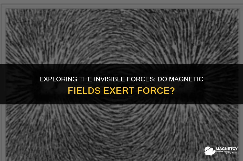 do magnetic fields exert force