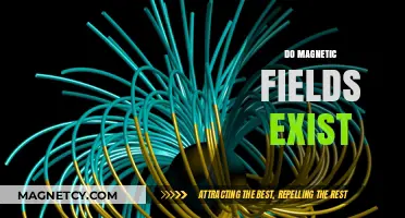 Unveiling the Invisible: The Reality of Magnetic Fields