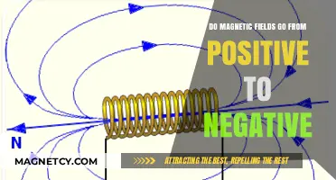 Exploring the Polarity: Do Magnetic Fields Transition from Positive to Negative?