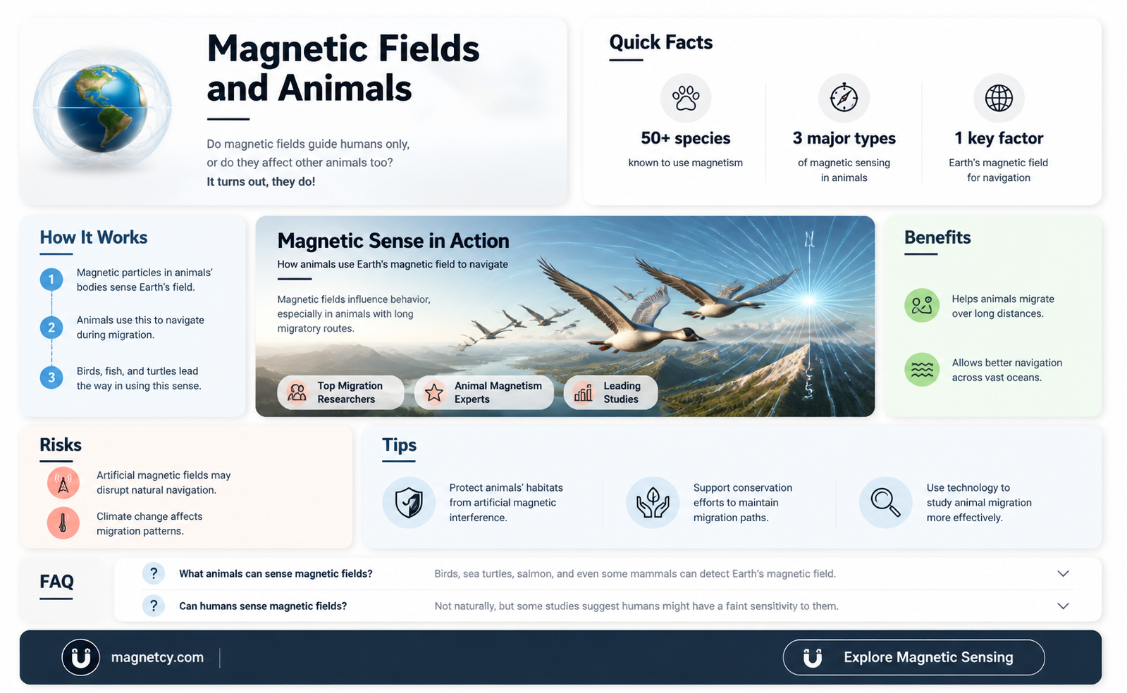 are humans the only animals that use these magnetic fields