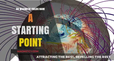 Exploring the Origins: Do Magnetic Fields Have a Starting Point?